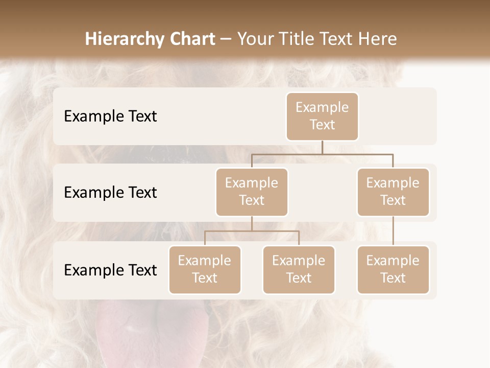 Fox Terrier Canine Studio PowerPoint Template