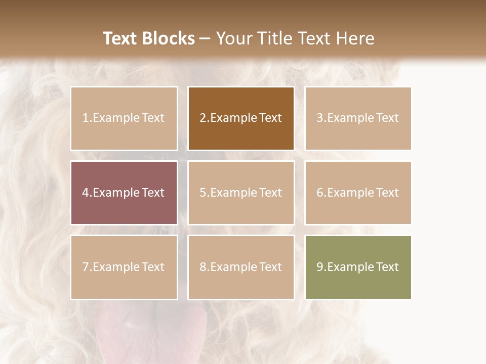 Fox Terrier Canine Studio PowerPoint Template