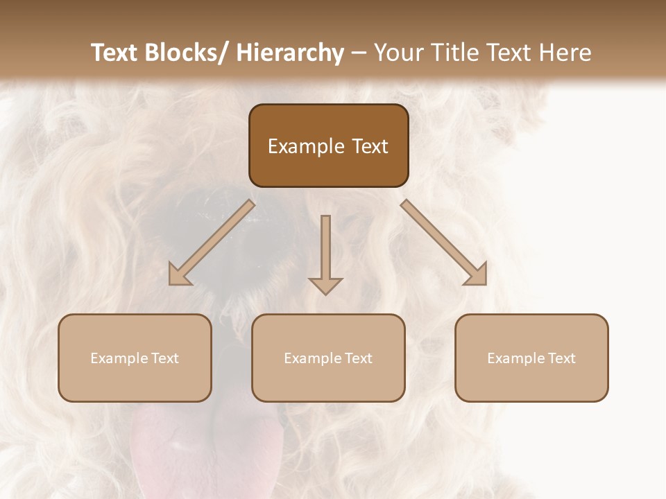 Fox Terrier Canine Studio PowerPoint Template