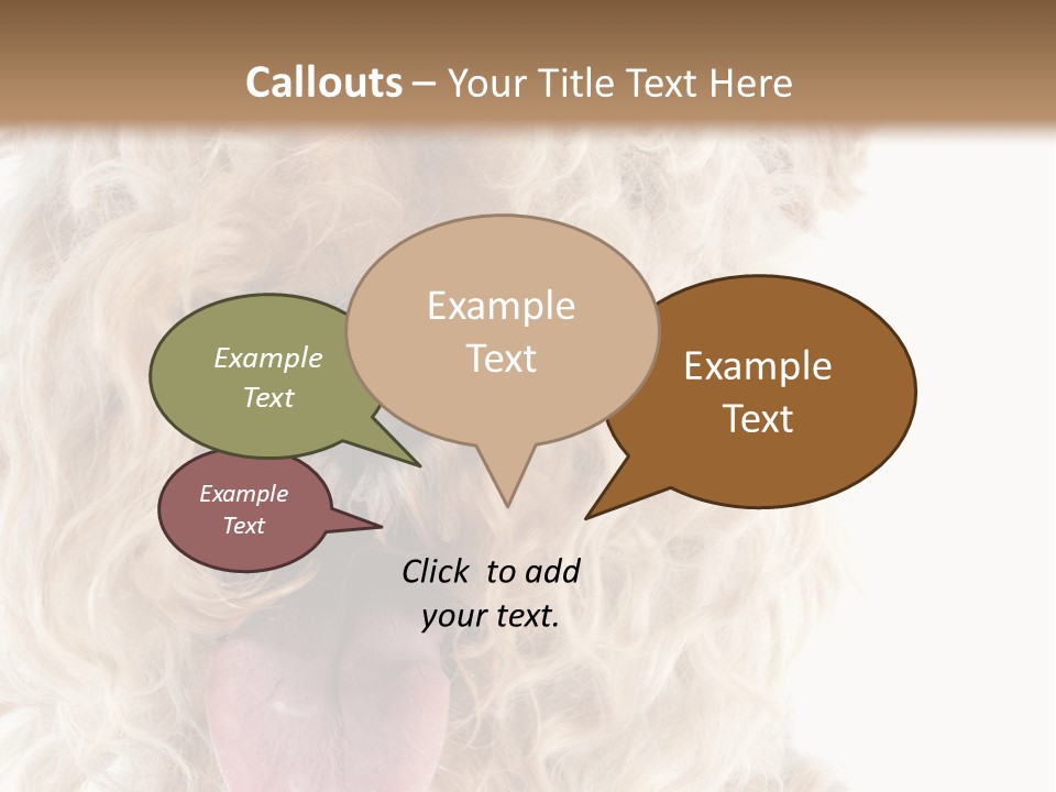 Fox Terrier Canine Studio PowerPoint Template