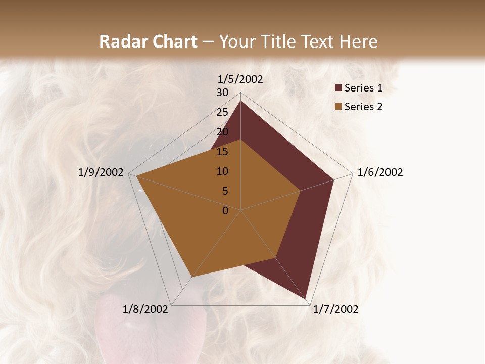 Fox Terrier Canine Studio PowerPoint Template