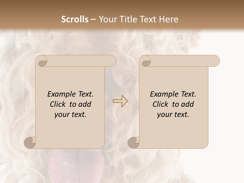 Fox Terrier Canine Studio PowerPoint Template