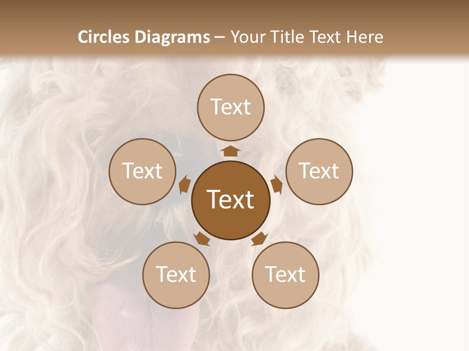 Fox Terrier Canine Studio PowerPoint Template