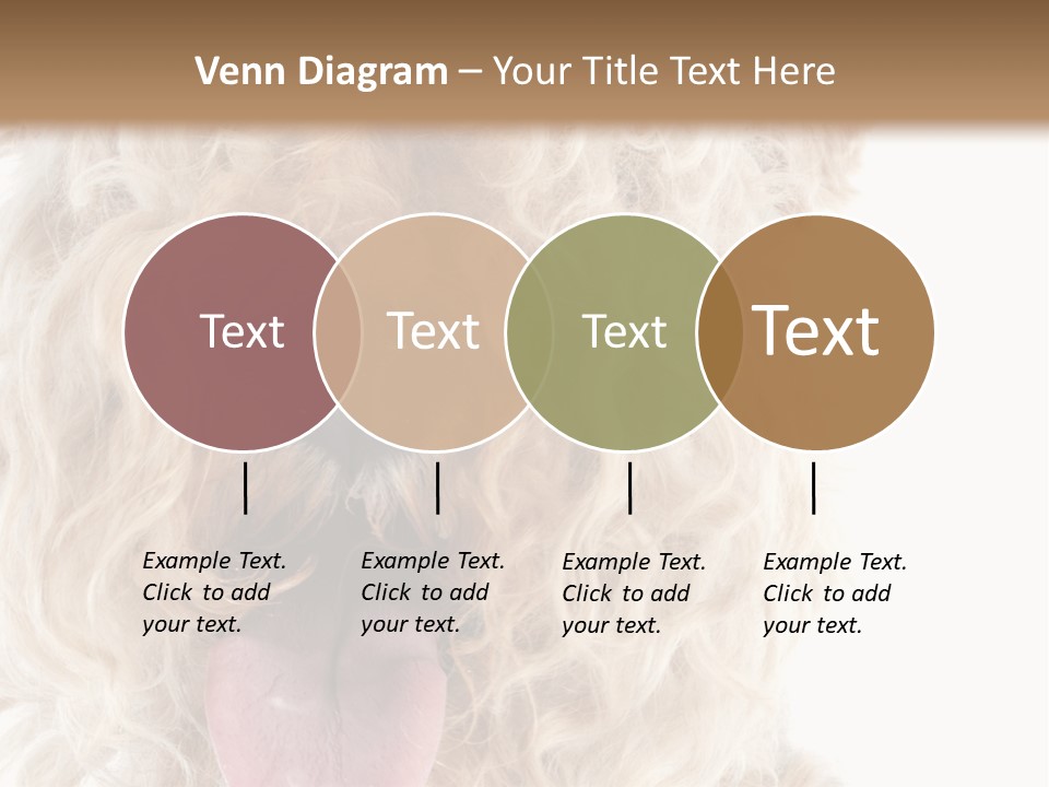 Fox Terrier Canine Studio PowerPoint Template