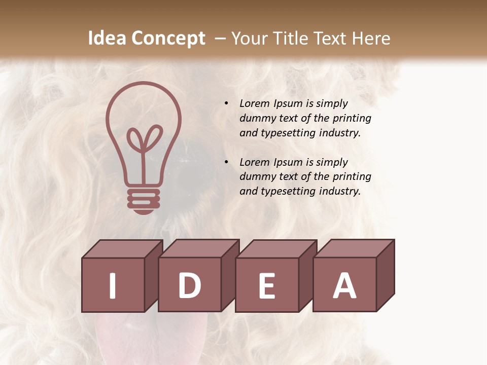 Fox Terrier Canine Studio PowerPoint Template