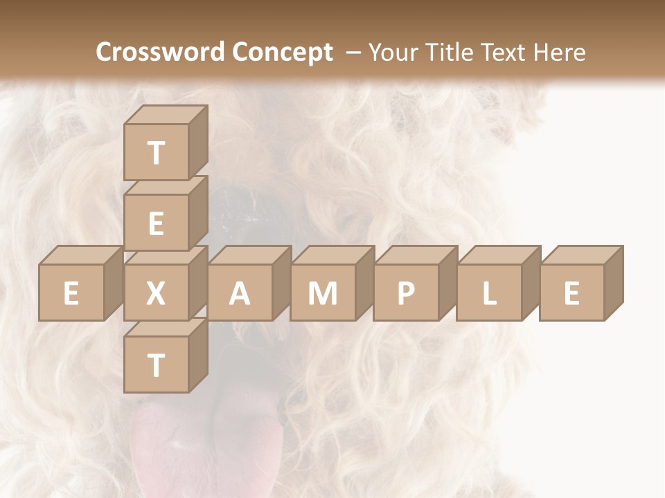 Fox Terrier Canine Studio PowerPoint Template