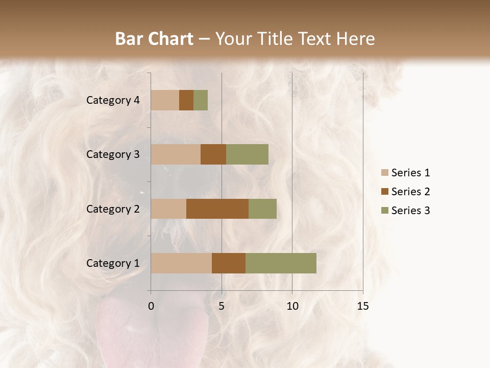 Fox Terrier Canine Studio PowerPoint Template