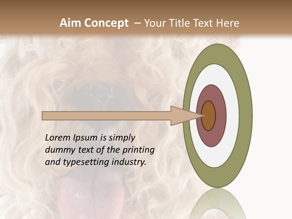 Fox Terrier Canine Studio PowerPoint Template