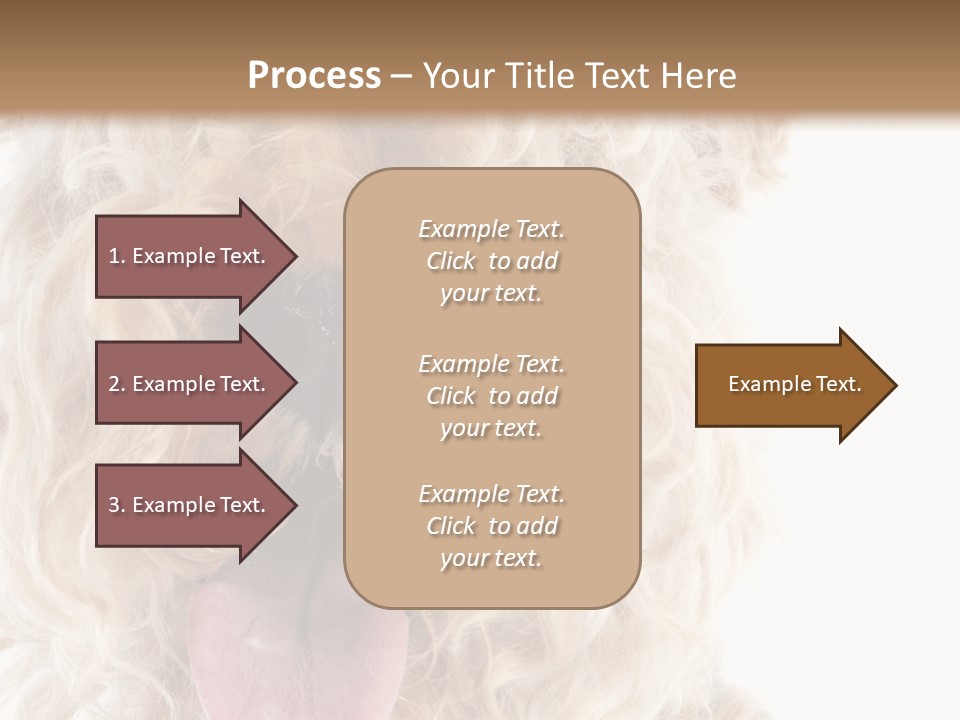 Fox Terrier Canine Studio PowerPoint Template