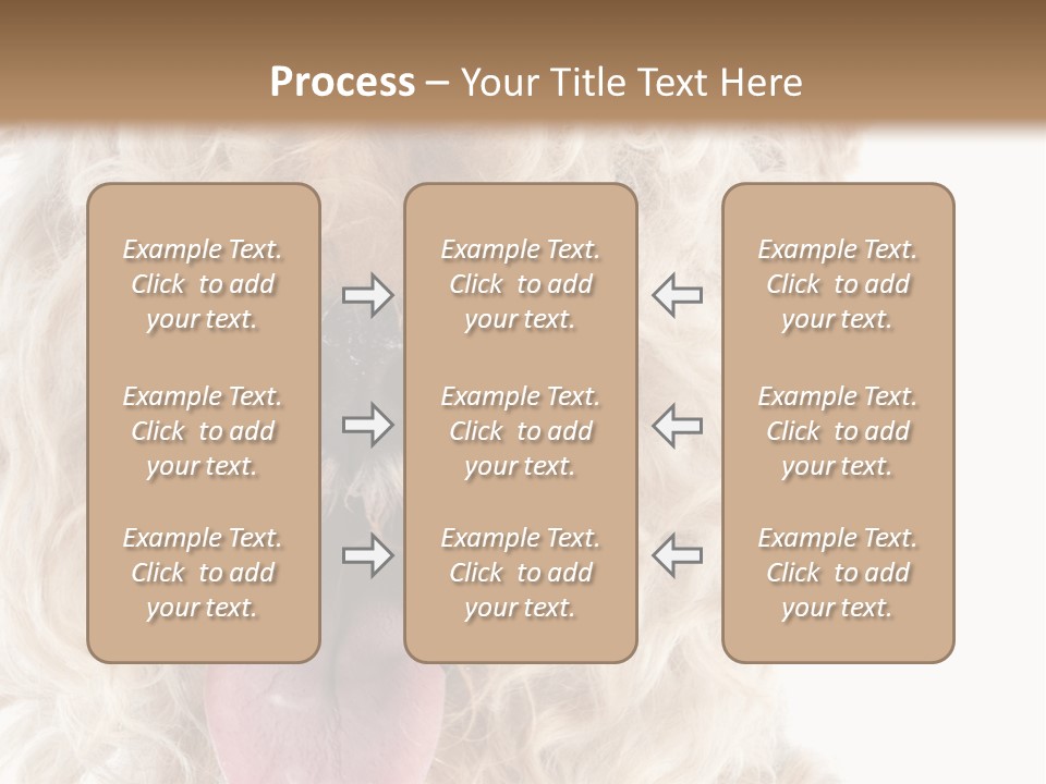 Fox Terrier Canine Studio PowerPoint Template