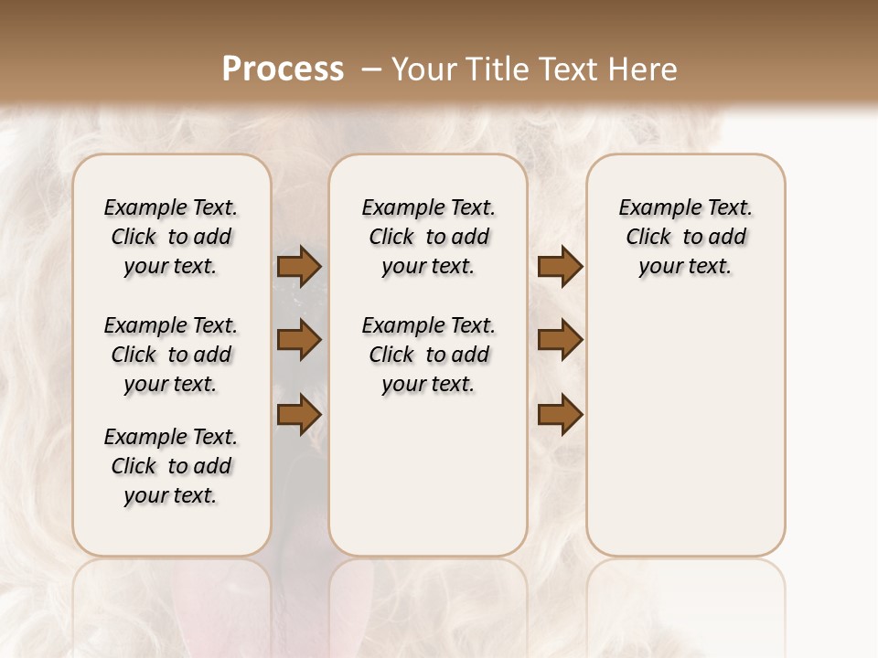 Fox Terrier Canine Studio PowerPoint Template