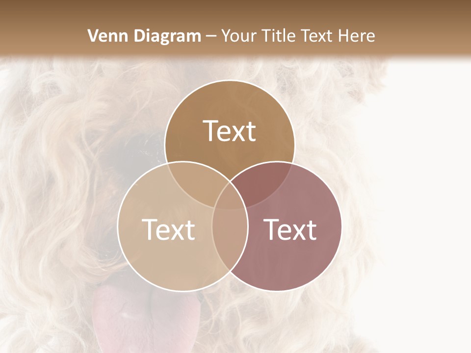 Fox Terrier Canine Studio PowerPoint Template