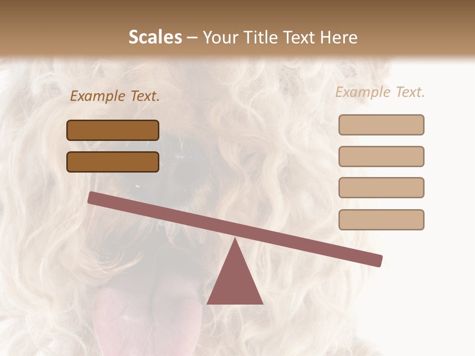 Fox Terrier Canine Studio PowerPoint Template