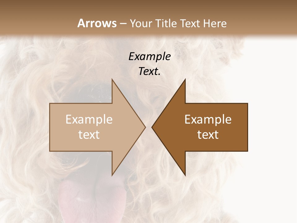 Fox Terrier Canine Studio PowerPoint Template