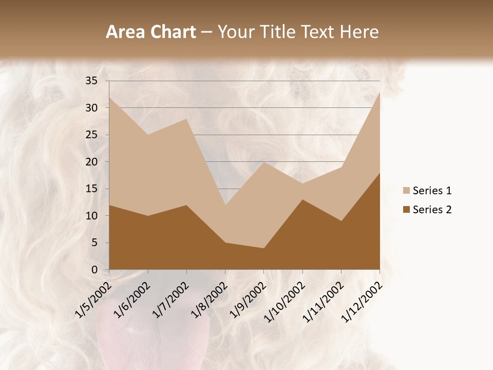 Fox Terrier Canine Studio PowerPoint Template