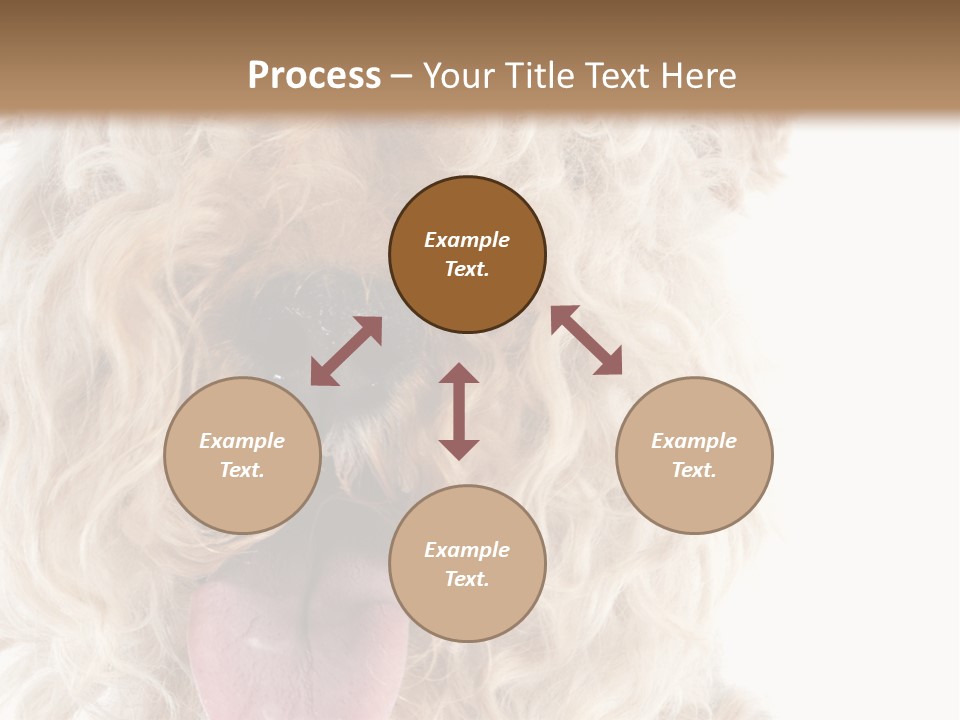 Fox Terrier Canine Studio PowerPoint Template