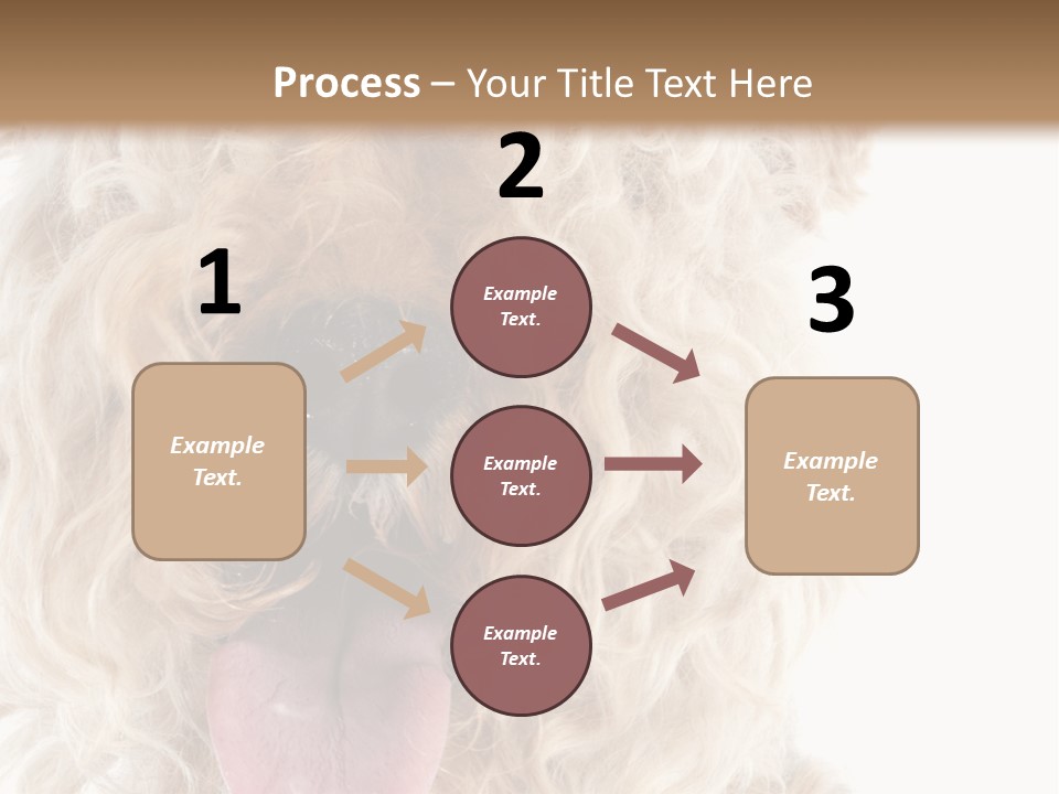 Fox Terrier Canine Studio PowerPoint Template