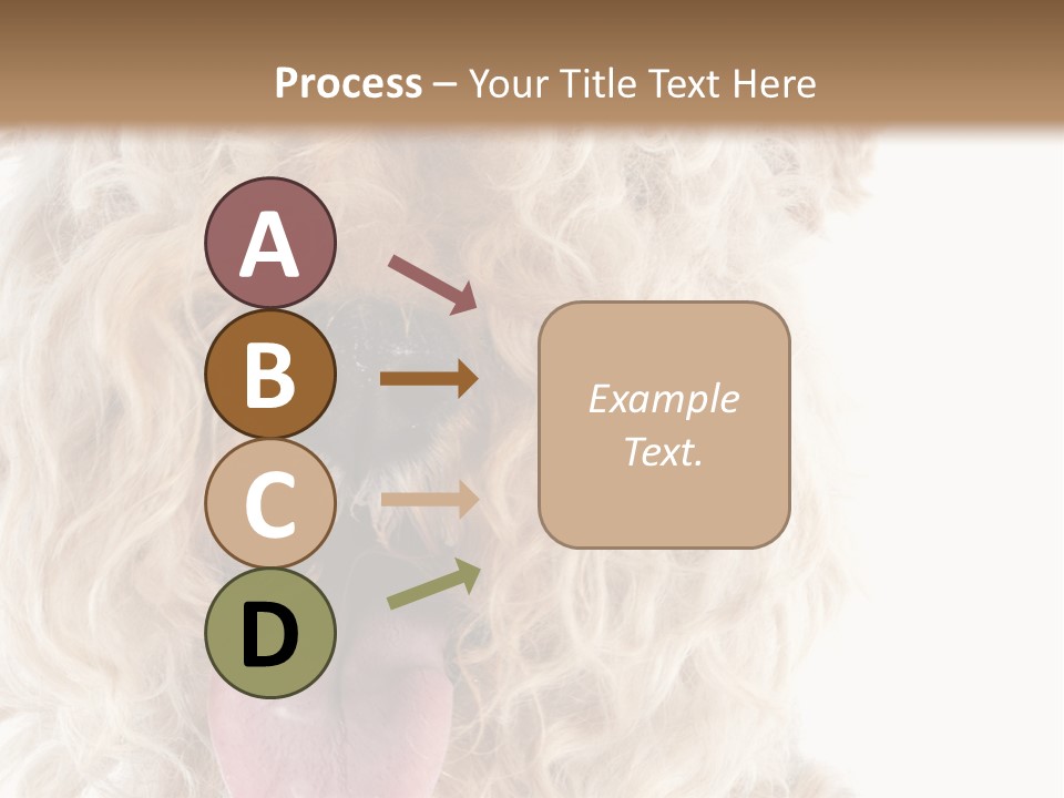 Fox Terrier Canine Studio PowerPoint Template