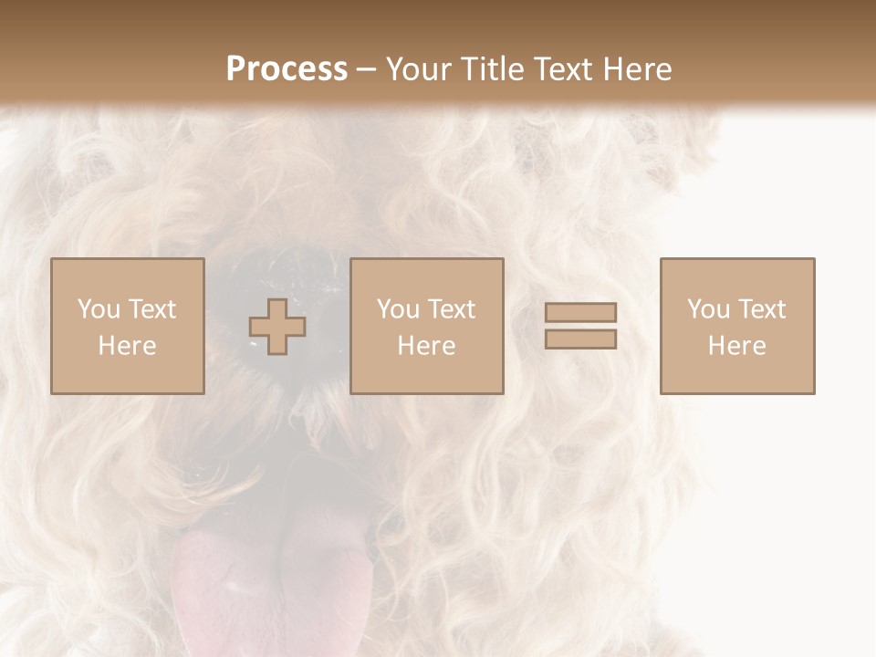 Fox Terrier Canine Studio PowerPoint Template