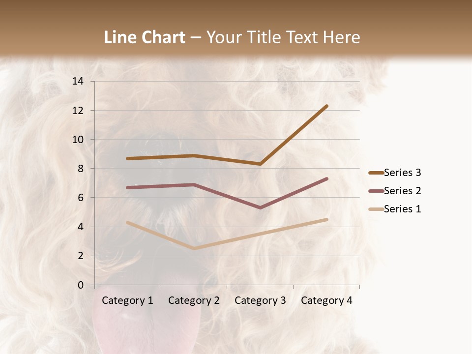 Fox Terrier Canine Studio PowerPoint Template