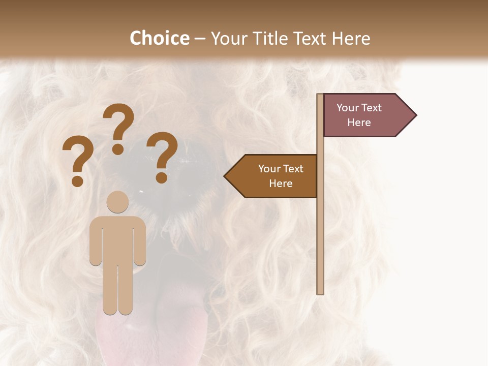 Fox Terrier Canine Studio PowerPoint Template