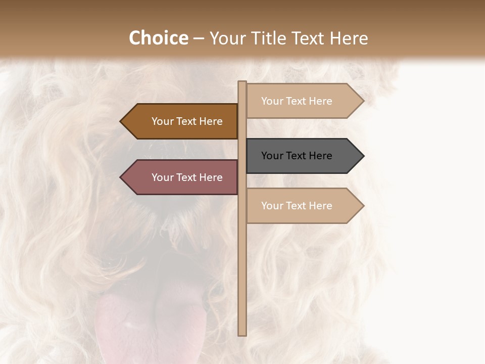 Fox Terrier Canine Studio PowerPoint Template