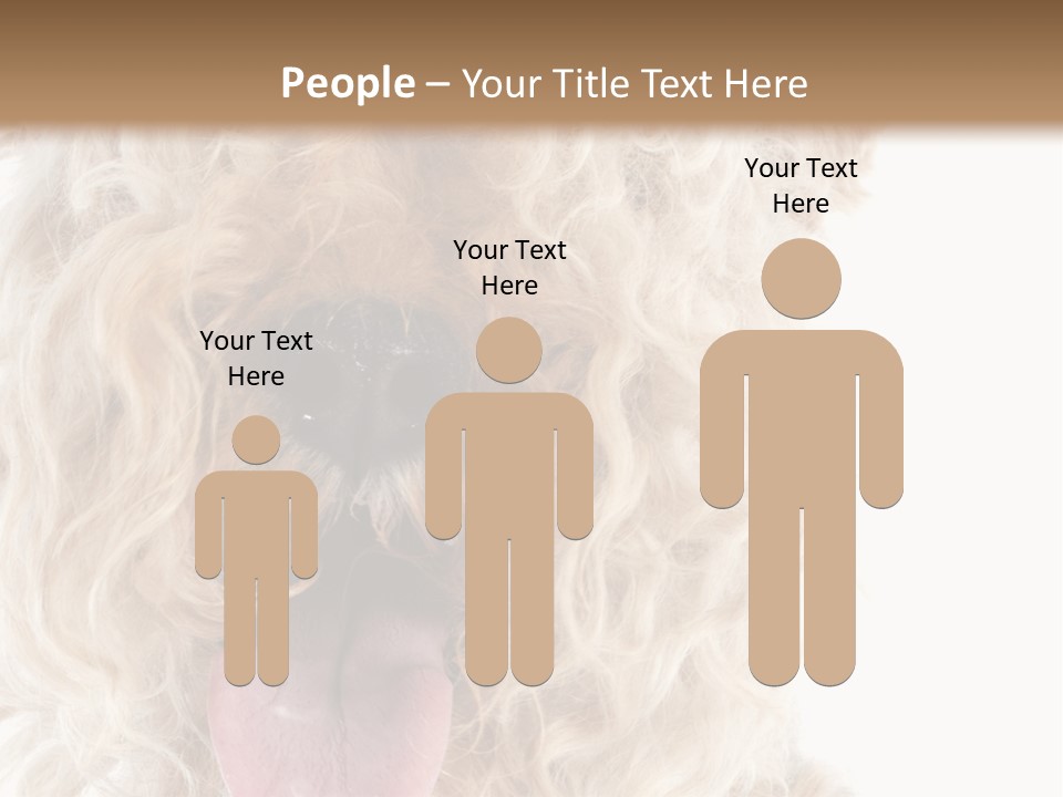 Fox Terrier Canine Studio PowerPoint Template