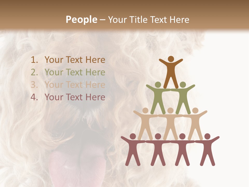 Fox Terrier Canine Studio PowerPoint Template