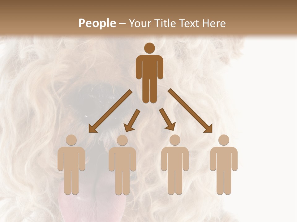 Fox Terrier Canine Studio PowerPoint Template