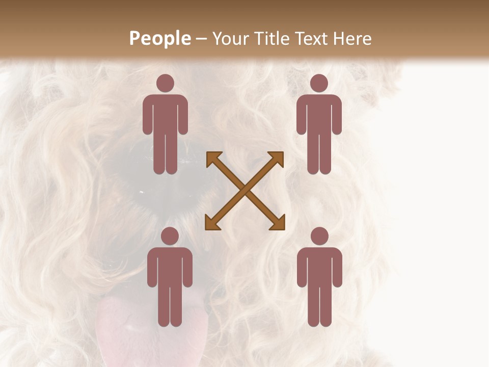 Fox Terrier Canine Studio PowerPoint Template