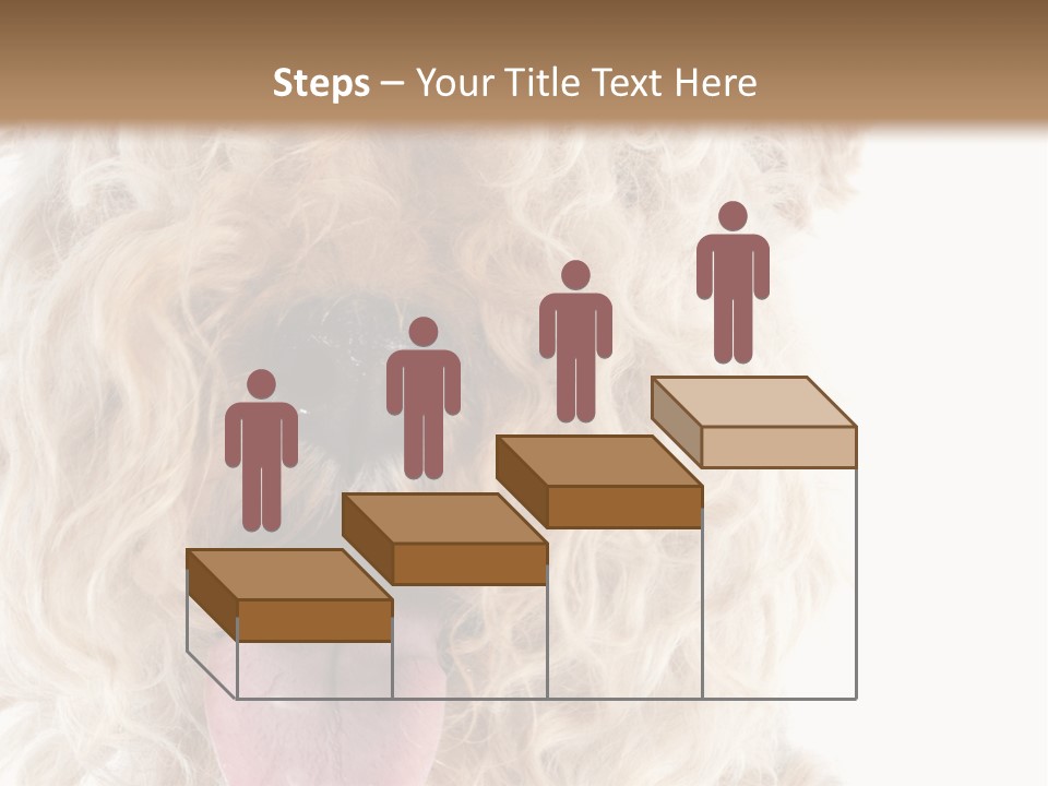 Fox Terrier Canine Studio PowerPoint Template