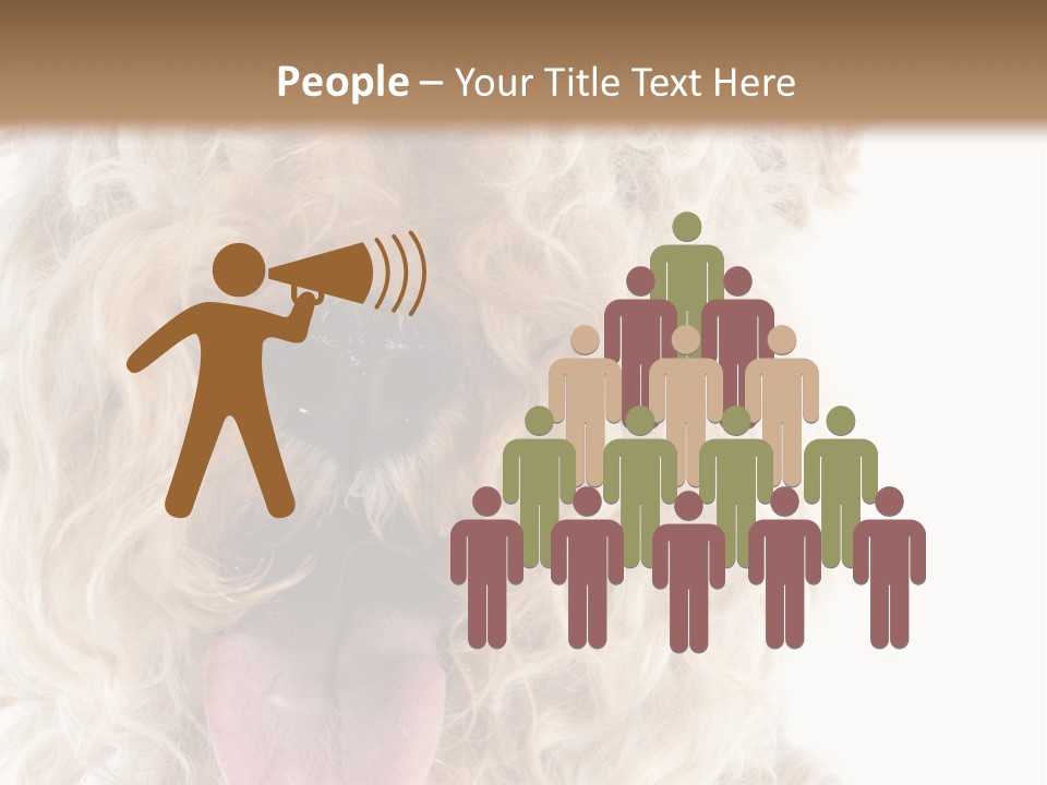 Fox Terrier Canine Studio PowerPoint Template