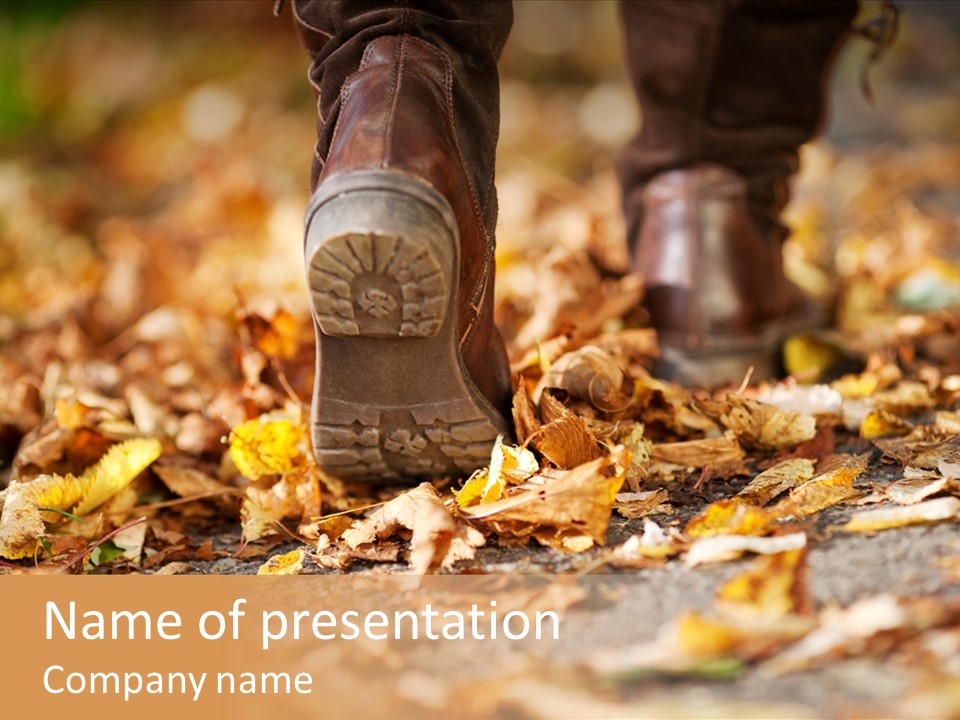 Decay Leaves Park PowerPoint Template