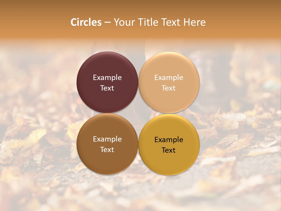 Decay Leaves Park PowerPoint Template