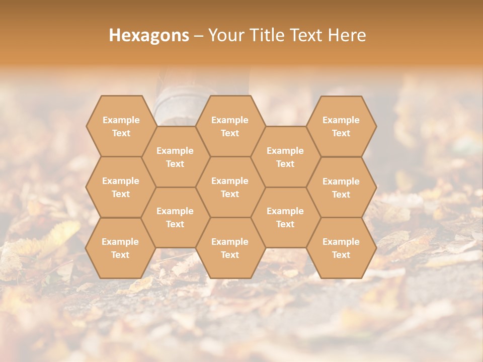 Decay Leaves Park PowerPoint Template