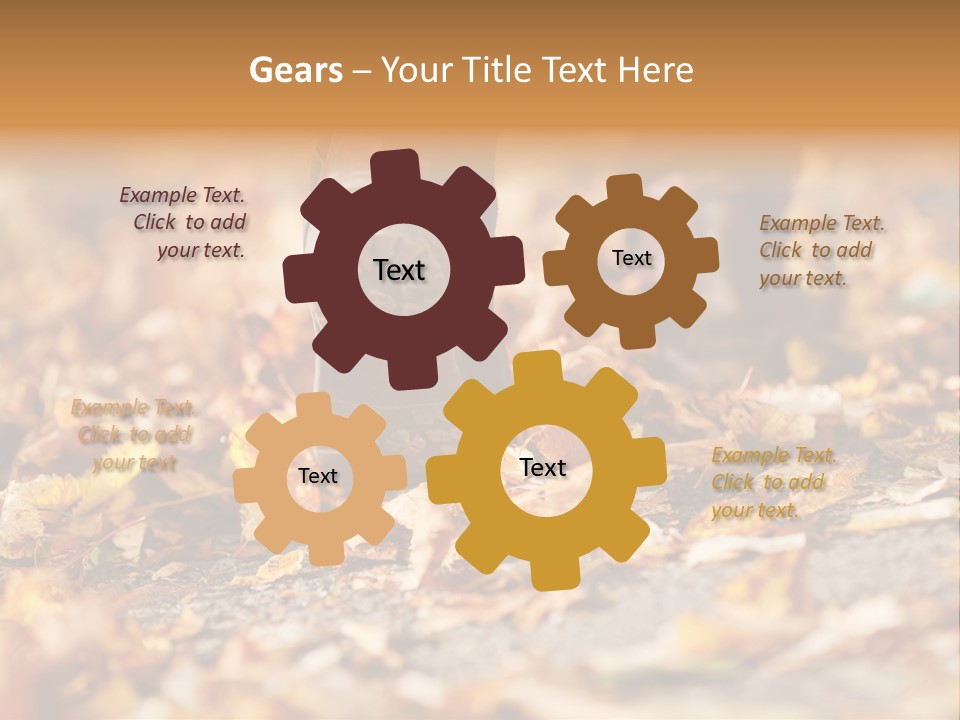 Decay Leaves Park PowerPoint Template