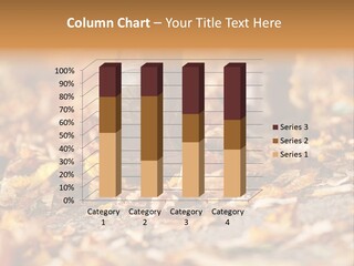 Decay Leaves Park PowerPoint Template