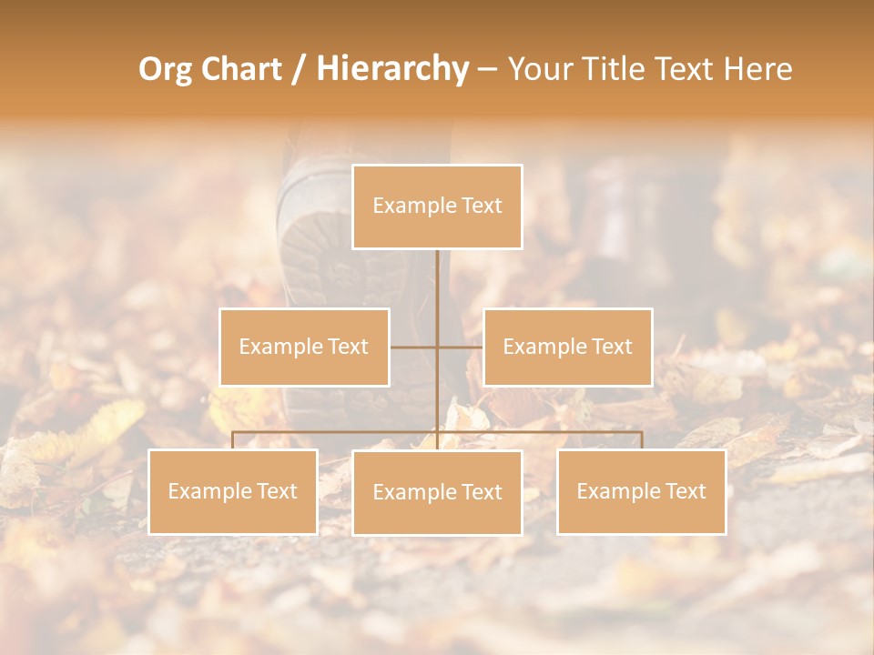 Decay Leaves Park PowerPoint Template