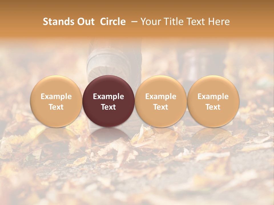 Decay Leaves Park PowerPoint Template