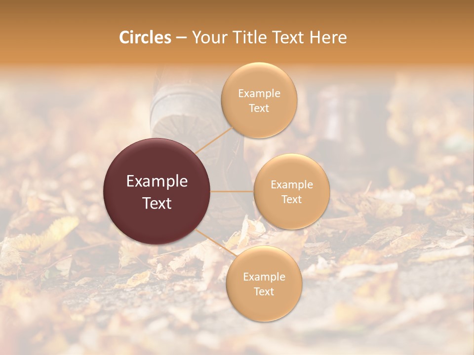 Decay Leaves Park PowerPoint Template