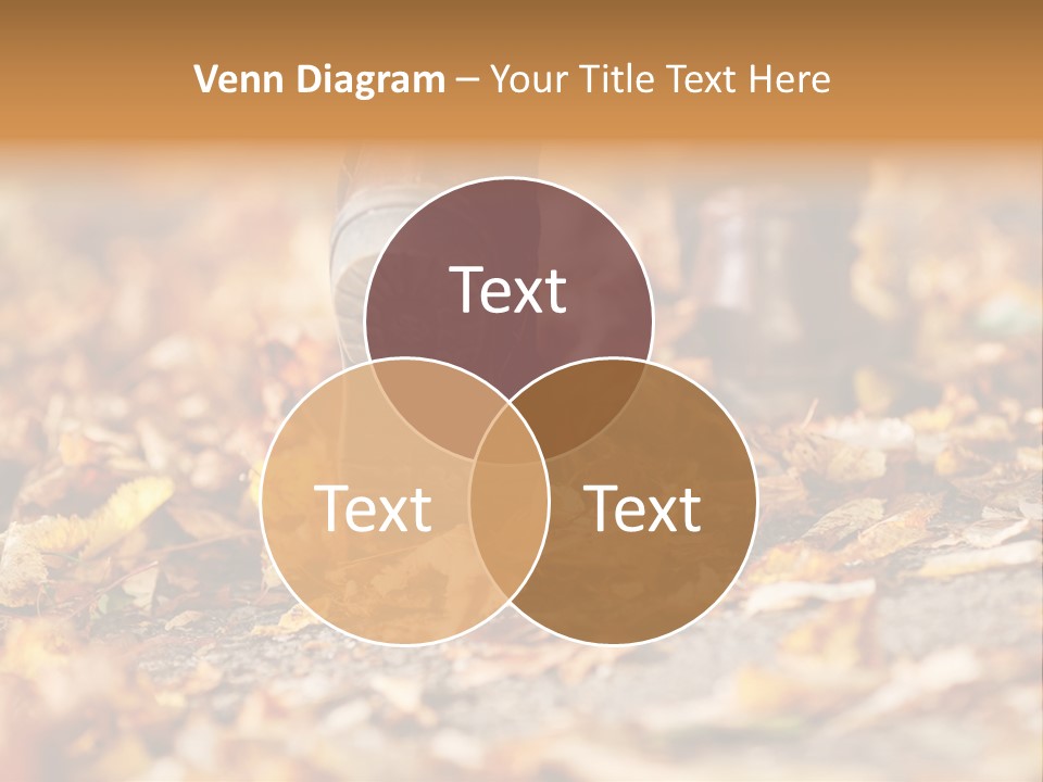 Decay Leaves Park PowerPoint Template