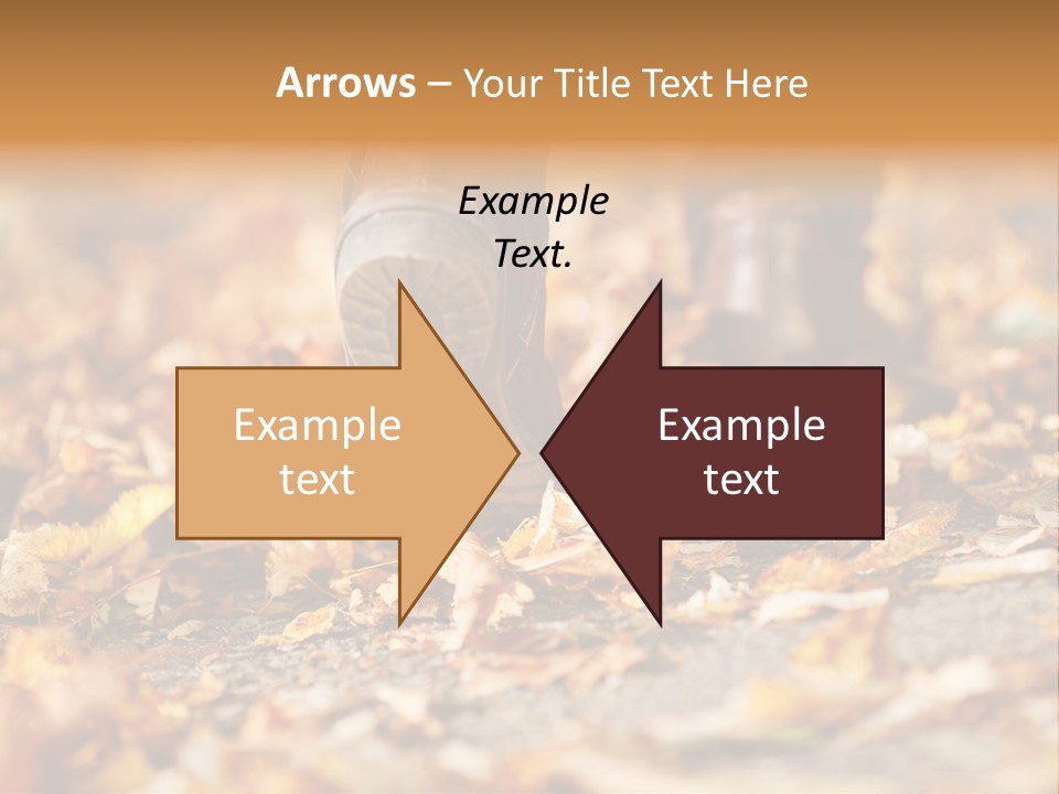 Decay Leaves Park PowerPoint Template