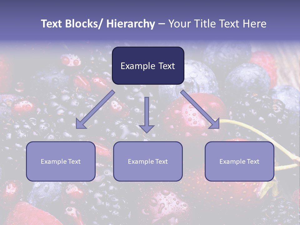 Blue Berrie Fruit Ripe PowerPoint Template