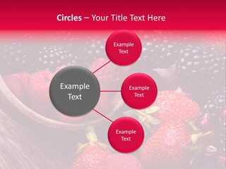 Blue Berrie Fruit Ripe PowerPoint Template