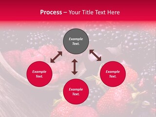 Blue Berrie Fruit Ripe PowerPoint Template