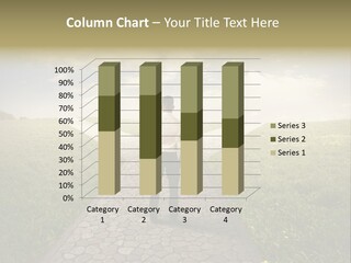 Undecided Solution Person PowerPoint Template