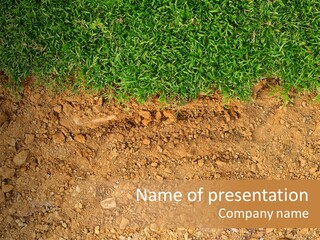 Garden Grass Dug PowerPoint Template