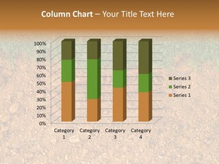 Garden Grass Dug PowerPoint Template