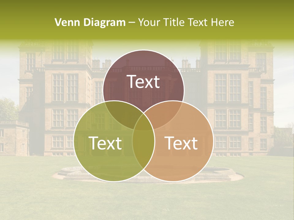 School Paper Supplies PowerPoint Template