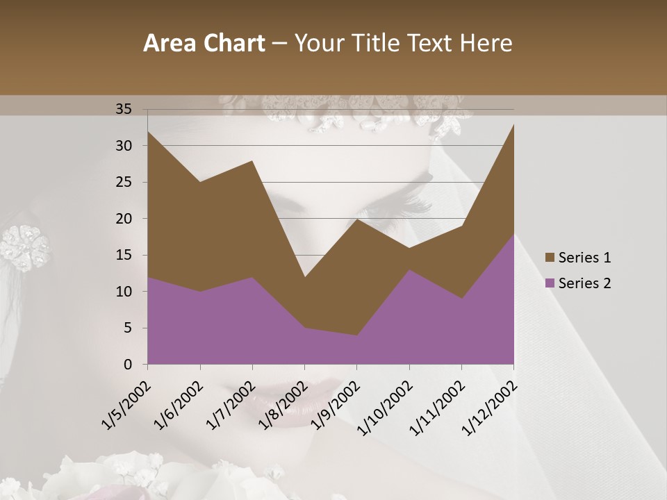Accessory Personal Luxury PowerPoint Template